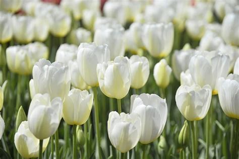 imagenes de febrero|Más de 2 000 fotos de Febrero y Naturaleza gratis